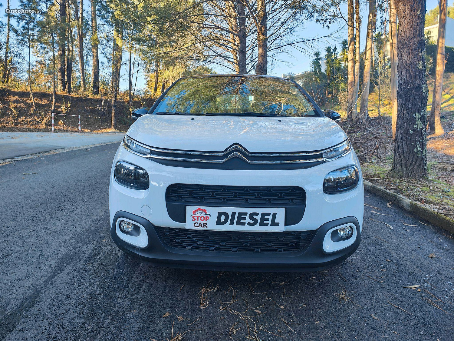 Citroën C3 BlueHDi Feel Business