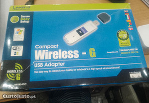 Compact Wireless Usb adapter