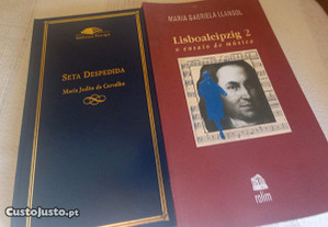 Dois livros de Maria Gabriela Llansol
