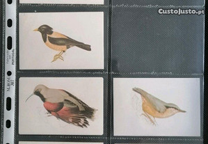 Calendário da colecção de 48 pássaros da edição de 1989   0,50
