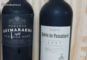 Lote de Vinhos do Porto.