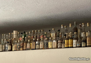 Coleção de miniaturas de bebidas alcoólicas