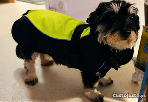 Capa/casaco de protecção para cão pequeno