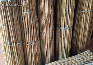Canas de Bambu nacional