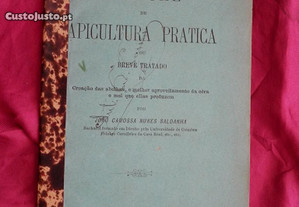 Manual de Apicultura Prática. José Camossa Nunes Saldanha. 1898