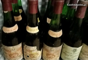 Lote 67 garrafas de vinho pequenas antigas