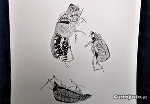 Desenho Tinta China Insecto Roger Uttama 2