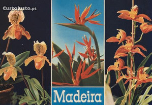 Madeira - Postal