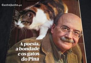 Pública A Poesia a bondade e os gatos do Pina