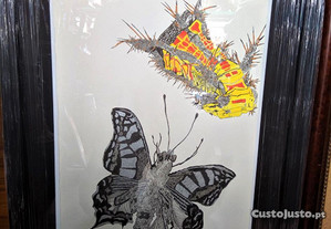 Desenho Tinta China Insecto Roger Uttama 1
