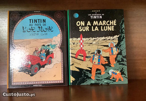 Livros Les Aventures de Tintim