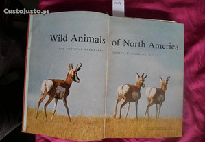 Wild animals of North America. The National Geographic Society