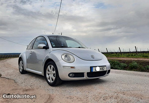 VW New Beetle Bi-Fuel - 08