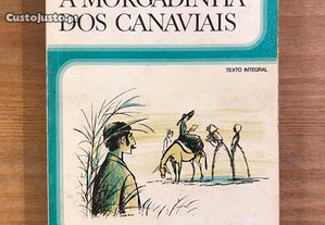 A Morgadinha dos Canaviais - Júlio Dinis