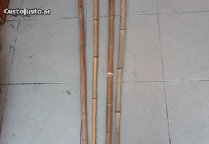 Tochas em bambu