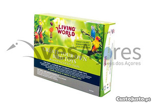 Kit De Brinquedos Living World De 40 Peças