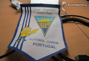 Galhardete Grupo Desportivo Estoril Praia Futebol Juvenis