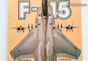 Aviões de Combate F-15