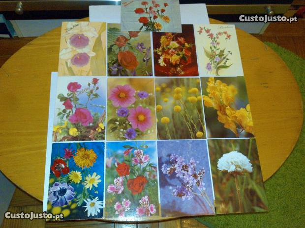 flores (13 postais)