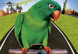 Paulie o Papagaio que Falava Demais(1998)