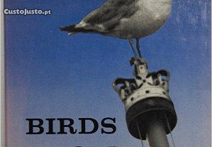 Birds From Britannia ( portes gratis )