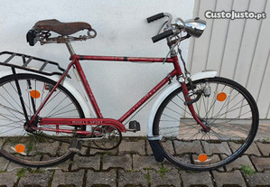 Bicicleta Pasteleira MACAL - roda 26 - Negociável