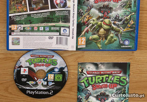 Playstation 2: Turtles Smash-up