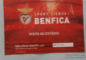 Bilhete visita estadio Benfica