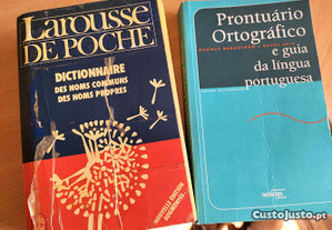 Dicionário Larousse De Poche