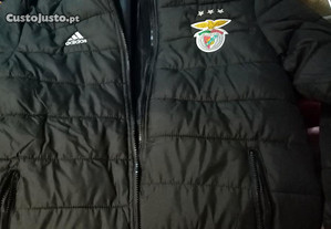 Casaco adidas Benfica bordado novo