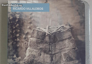 Ricardo Villalobos - Fabric 36