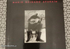 A Balada de Johnny Sosa, Mario Delgado Aparaín