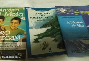 Livros portugues 5 ano escolaridade impecavel