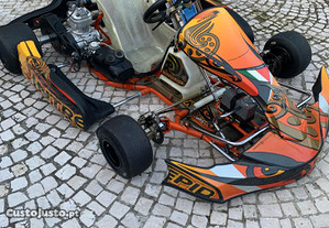 Karts Sem Motor em Lisboa - OLX Portugal