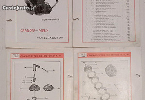 Antigo Catálogo (motor) Famel DKW (RARO)